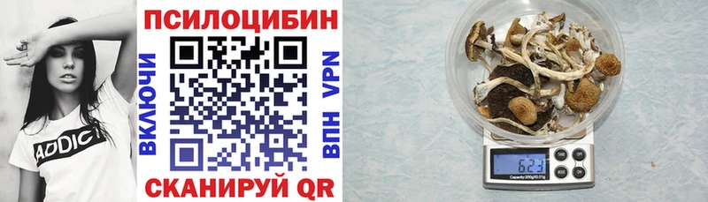 Галлюциногенные грибы Psilocybine cubensis Купить закладки Зерноград