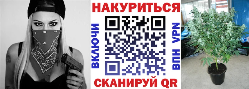 Купить где  Зерноград  Бошки Шишки THC 21% 
